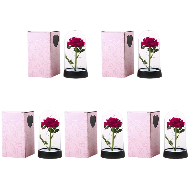 Eternal Rose in Glass Dome — LED Light Decorative Flower Gift