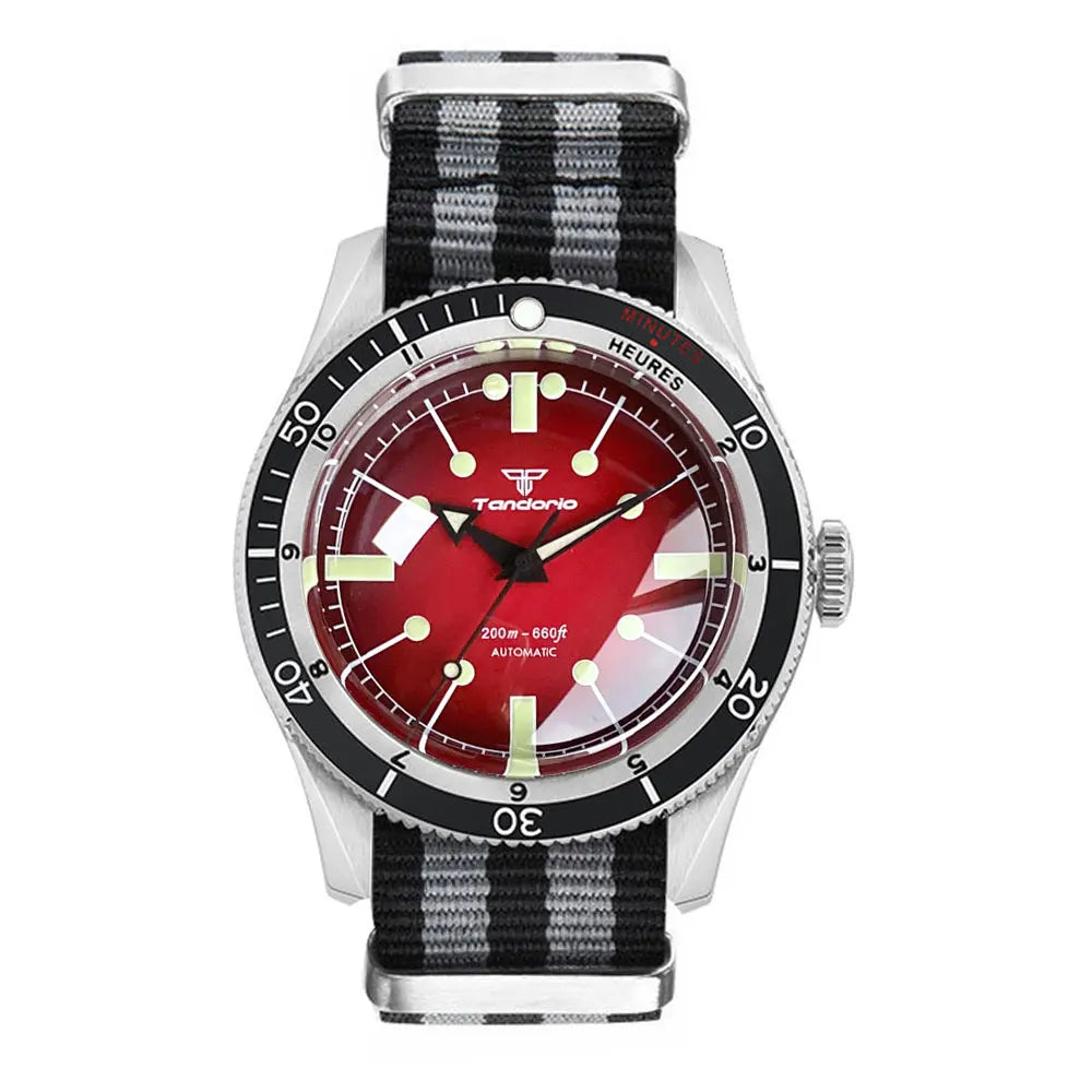Tandorio Automatic Dive Watch — 40mm Mechanical Men's Diver