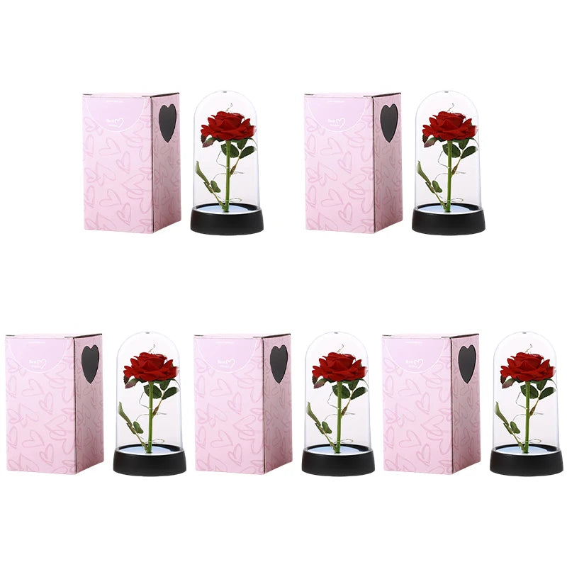Eternal Rose in Glass Dome — LED Light Decorative Flower Gift