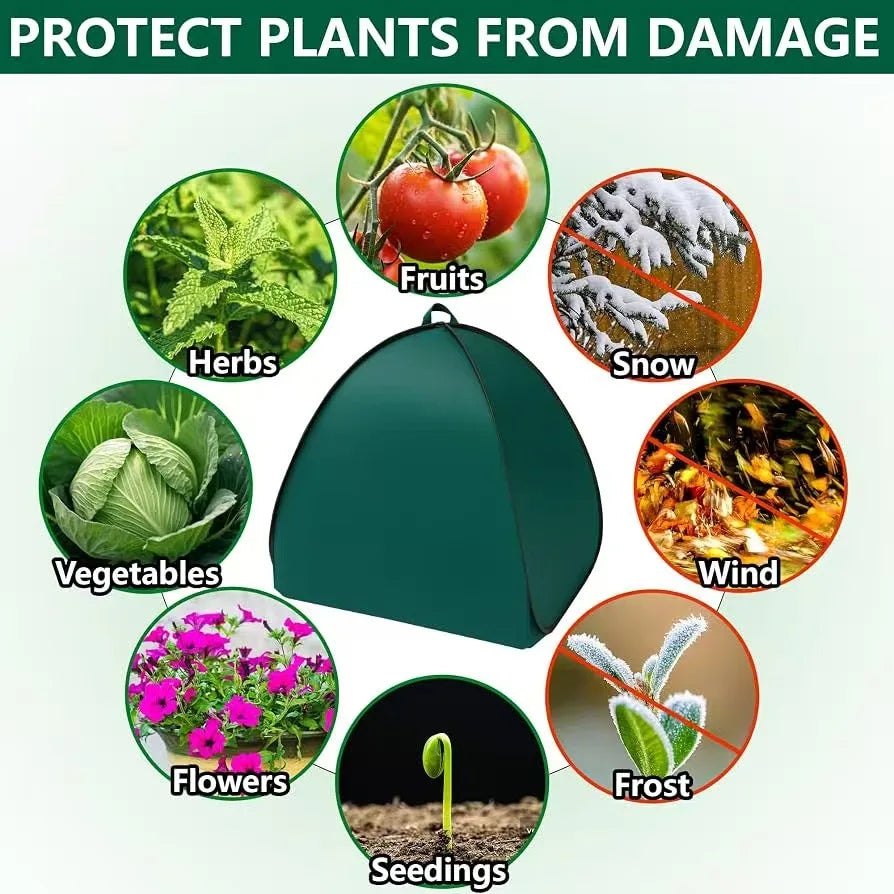 Pop Up Plant Protection Tent — Reusable Winter Frost Cover