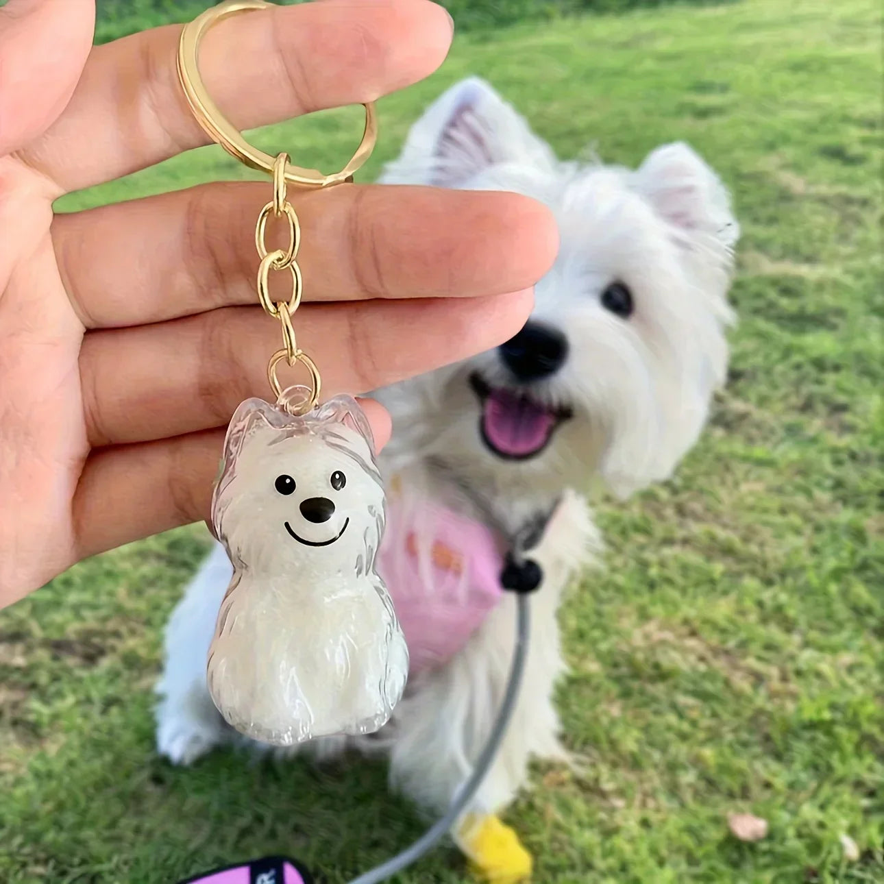 Pet Hair Memorial Keepsake Capsule — Transparent Keychain Pendant for Pet Lovers