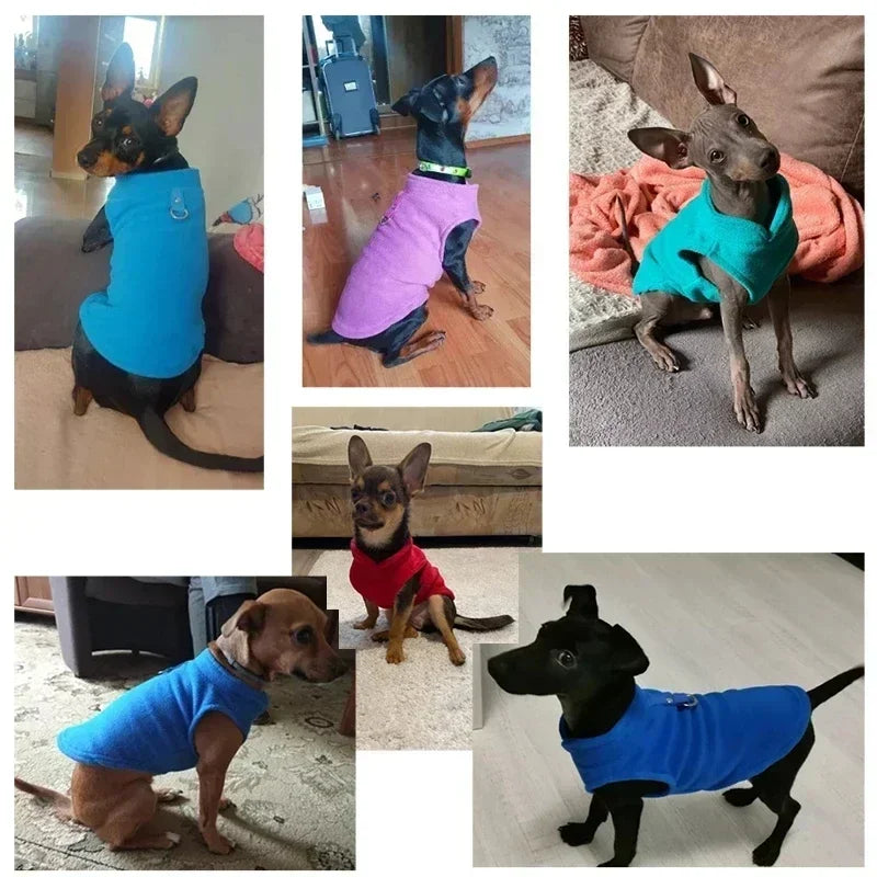 Warm Fleece Pet Vest — Thermal Dog Jacket for Small Breeds