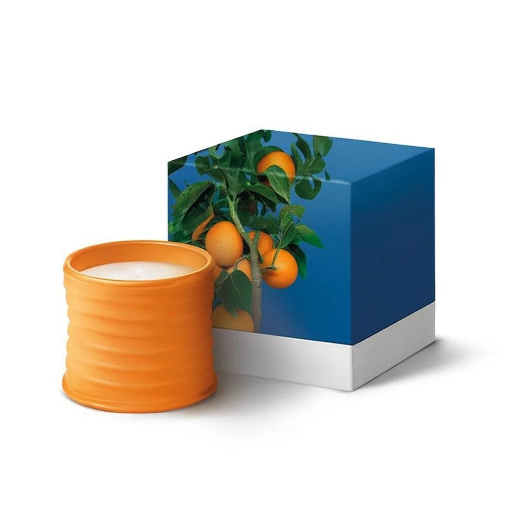 Scented Flower Shaped Candle — Aromatherapy Gift Box for Home Decor
