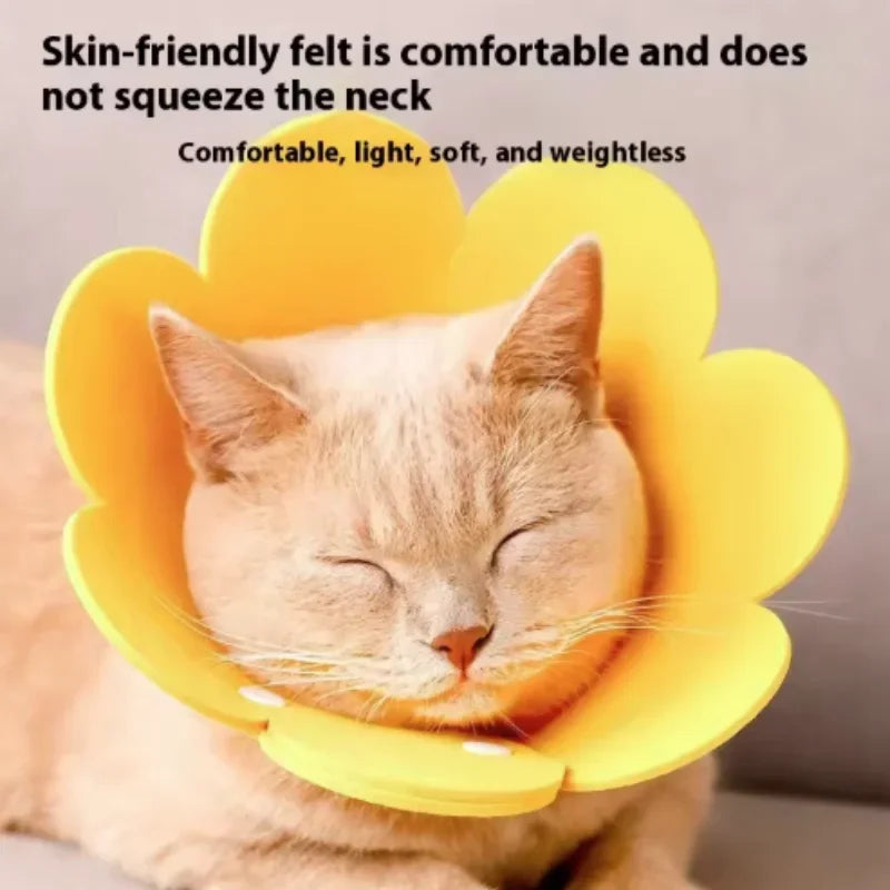 Adjustable Flower Shape Pet Recovery Collar — Protective Cone for Cats and Small Dogs