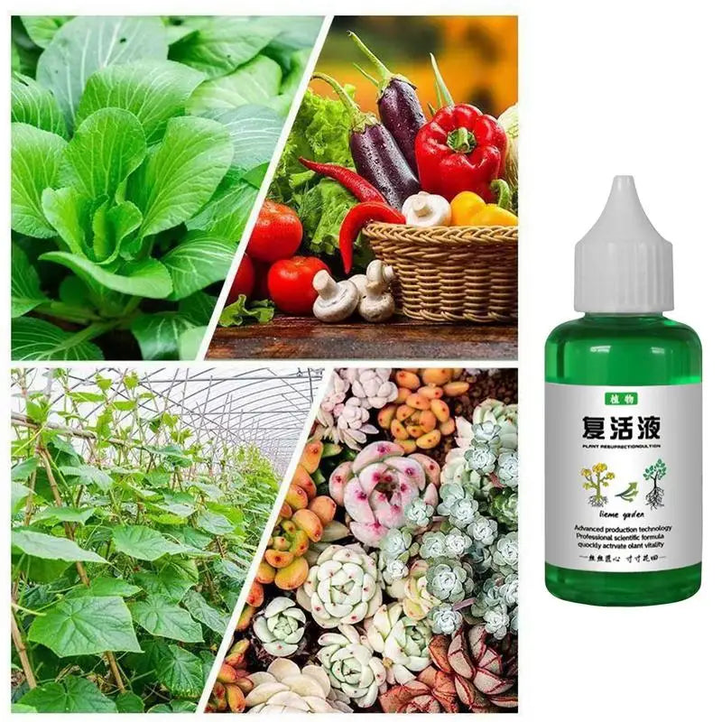Plant Revitalizer Nutrient Solution — Organic Liquid Fertilizer for Healthy Growth