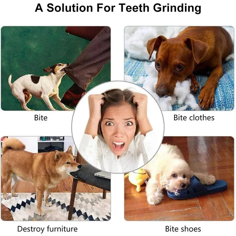 Durable Rubber Pet Toy Ball — Bite Resistant Treat Feeder & Chew Toy