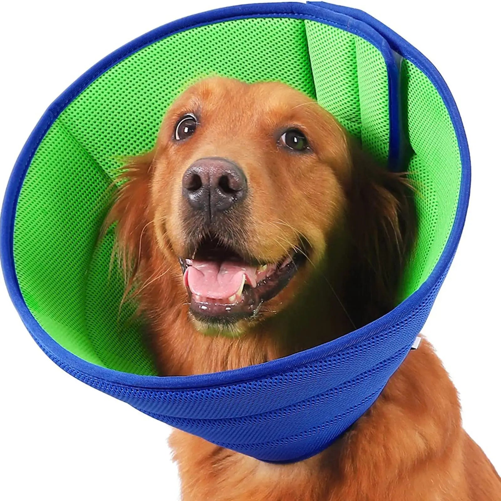 Kesoto Dog Recovery Cone — Breathable Elizabethan Collar for Wound Protection