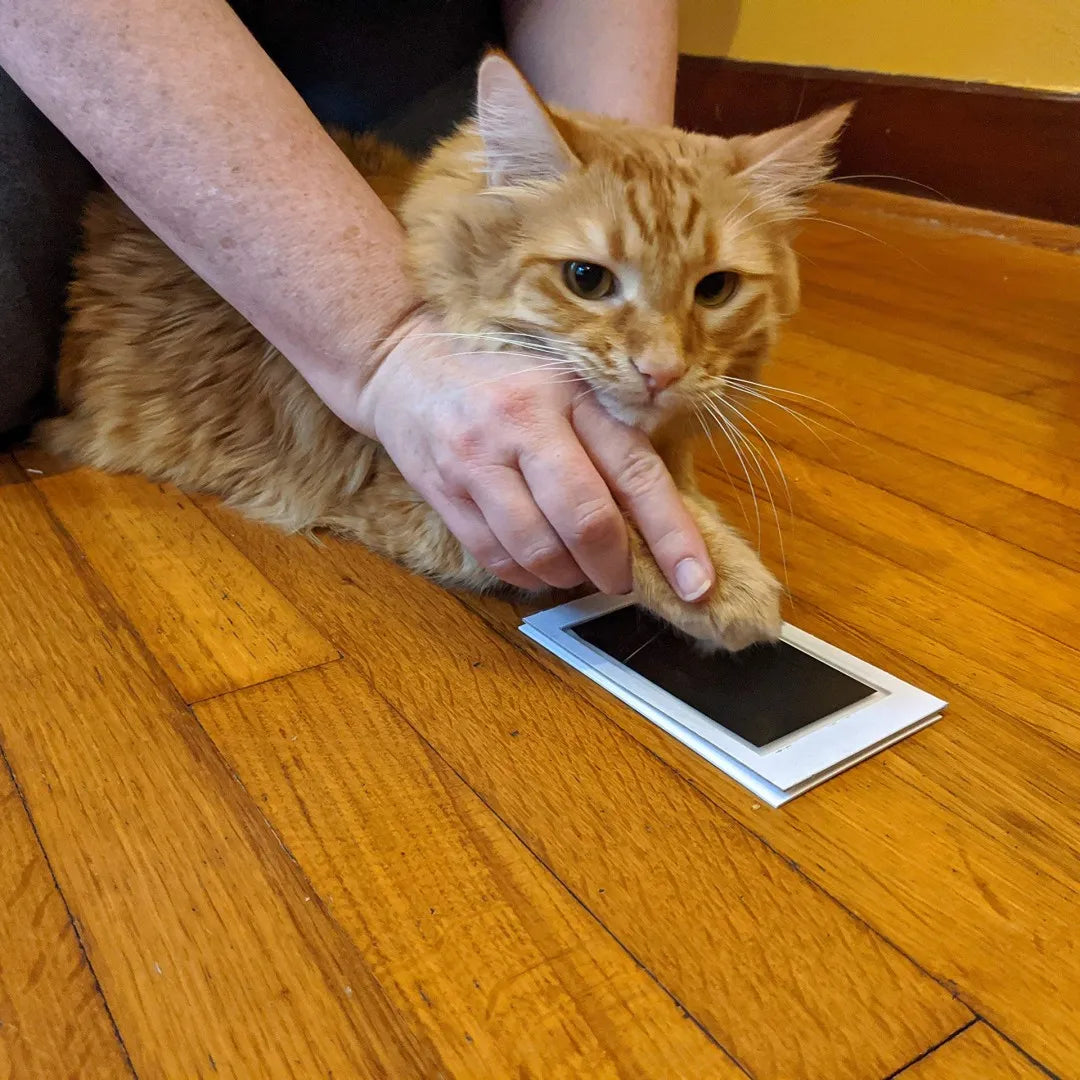Pet Paw Print Ink Pad — Mess-Free Nose and Paw Impression Kit