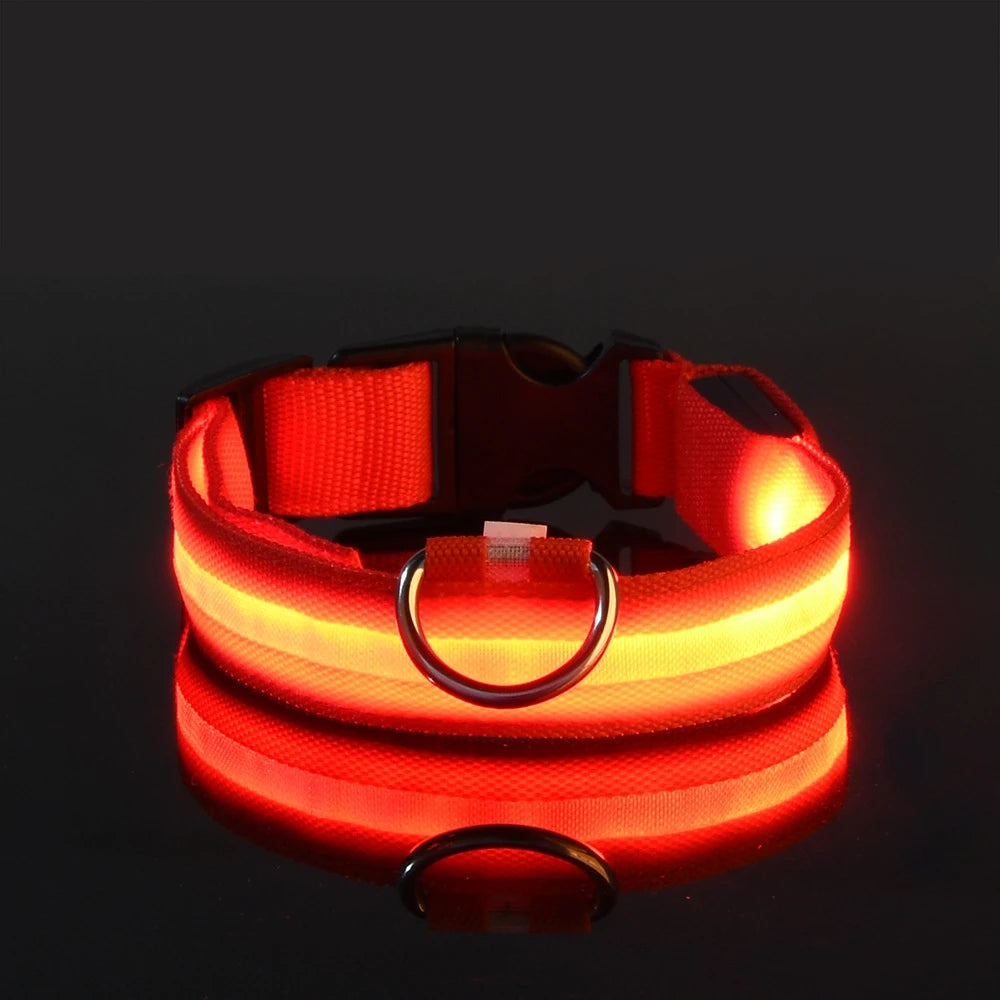 Nylon LED Glow Dog Collar — Luminous Night Safety Pet Accessory