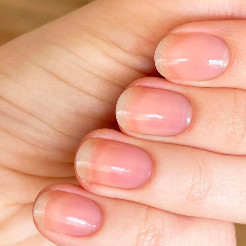 Tinovo Uno Super Nail Primer — Long Lasting Prep Dehydrator for Manicure