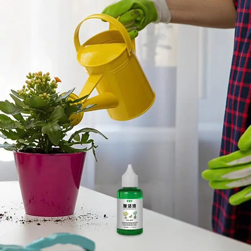 Plant Revitalizer Nutrient Solution — Organic Liquid Fertilizer for Healthy Growth