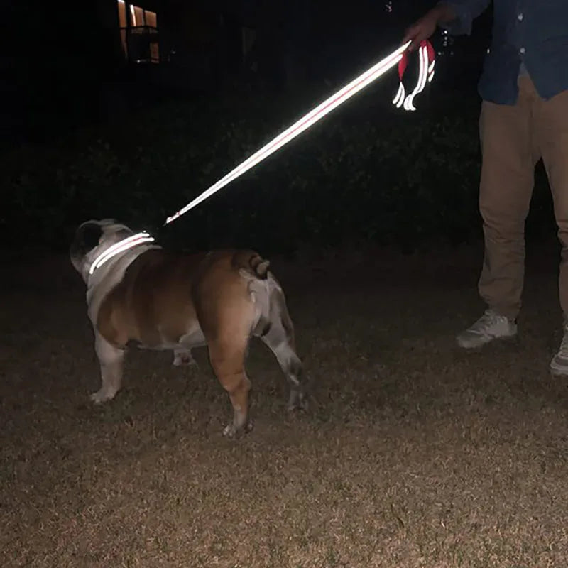 Reflective Pet Training Leash — Durable Walking Rope for Dogs and Cats