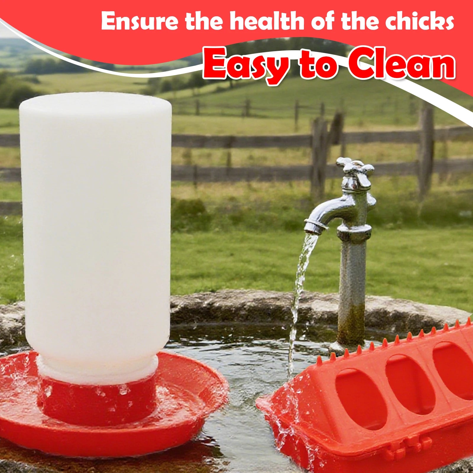 Automatic Chicken Feeder and Water Dispenser — Small Animal Feeding Station