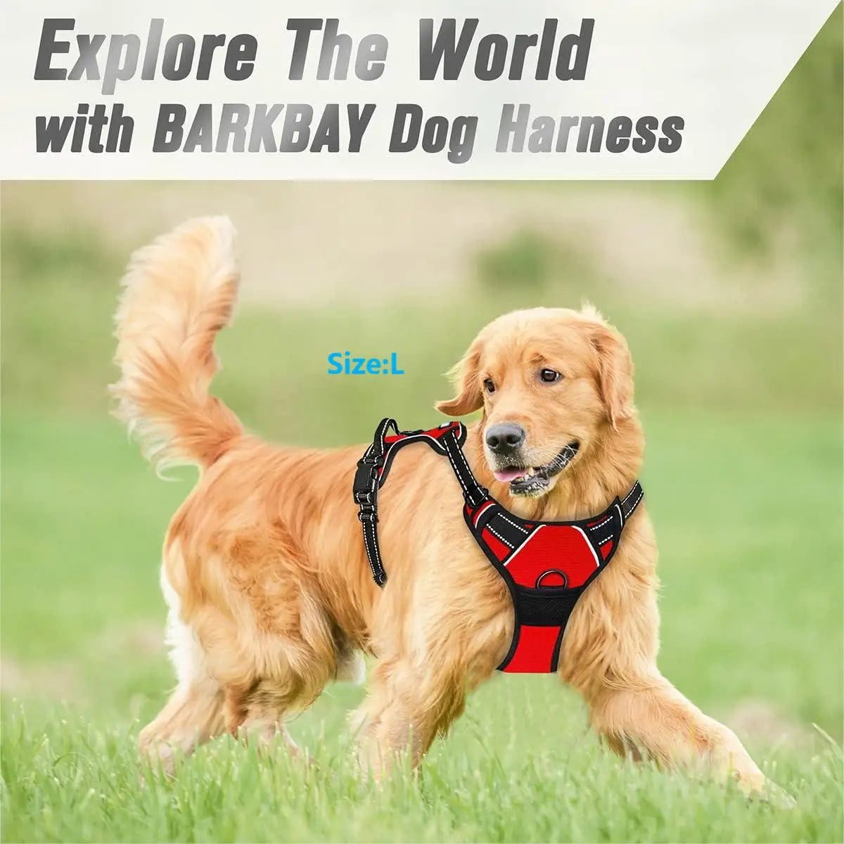 JTPAWS Adjustable No Pull Dog Harness — Reflective Vest with Front Clip