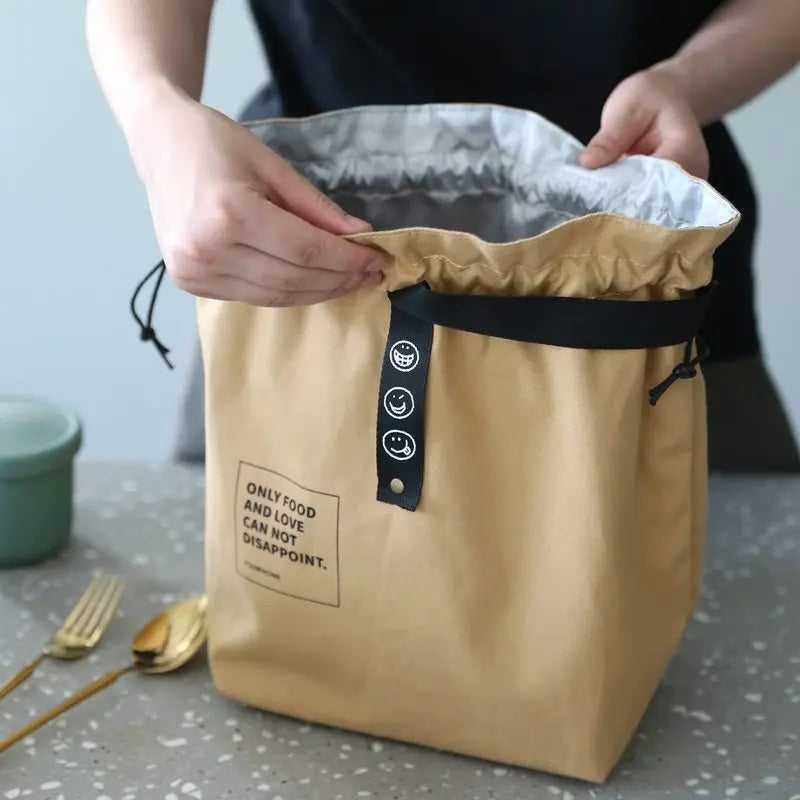 Insulated Double Layer Lunch Bag — Portable Thermal Food Storage