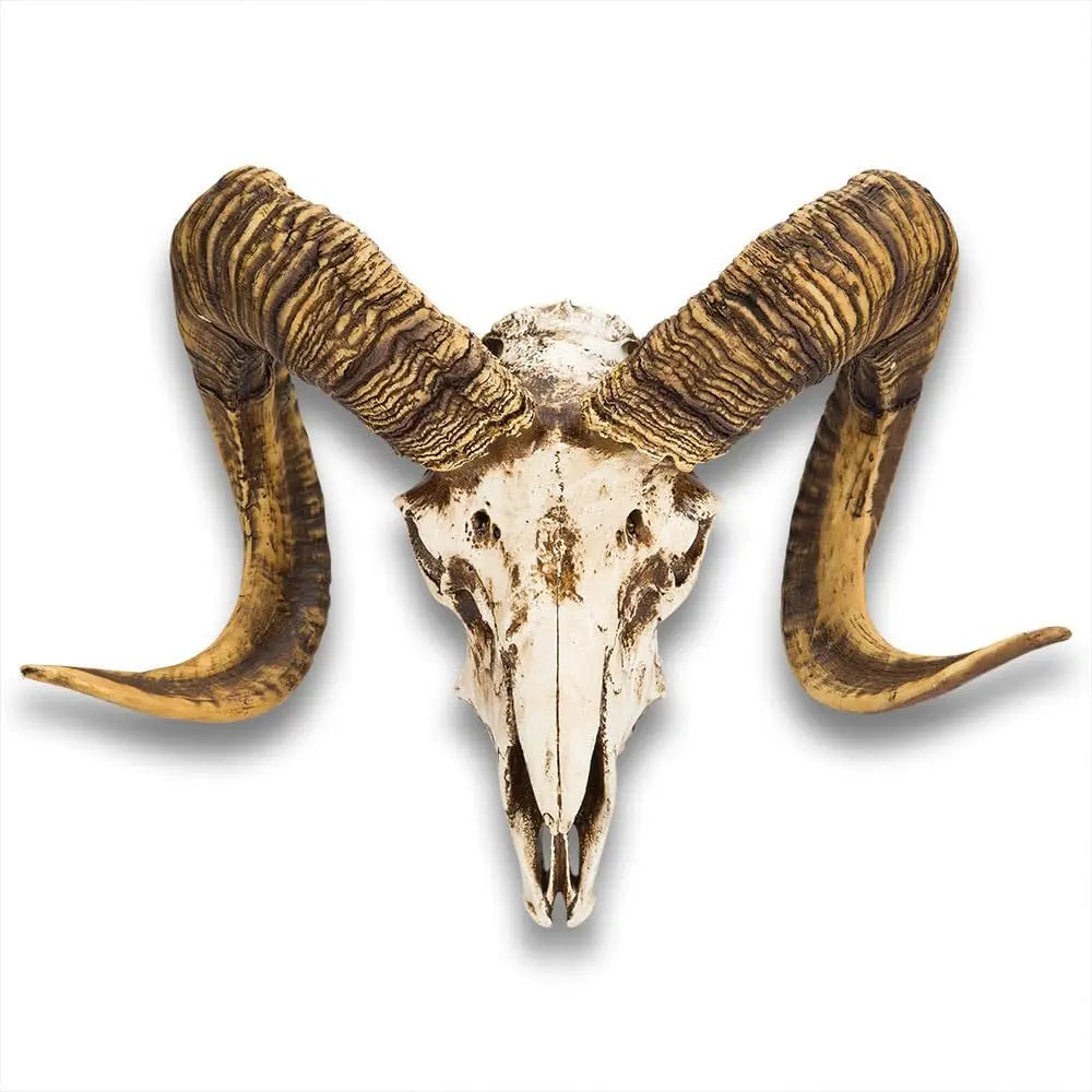 Bighorn Sheep Ram Skull Replica — Realistic Animal Decor, Weathered Finish