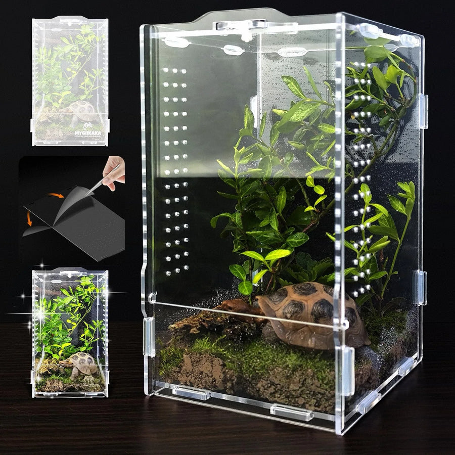 Reptile Terrarium — Transparent Habitat Cage