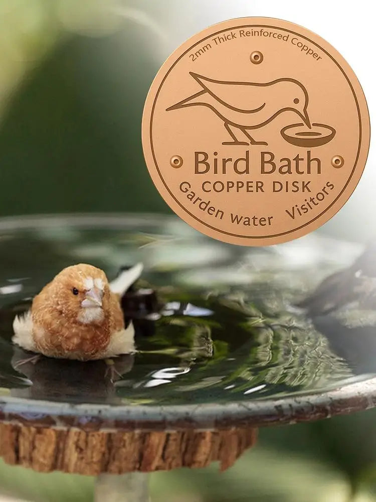Copper Bird Bath Purifier Disk — Stable Outdoor Water Cleaner