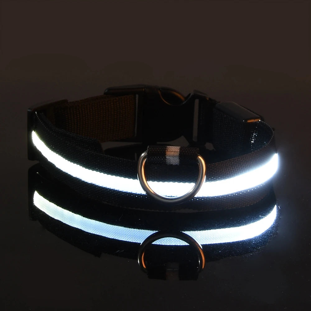 Nylon LED Glow Dog Collar — Luminous Night Safety Pet Accessory