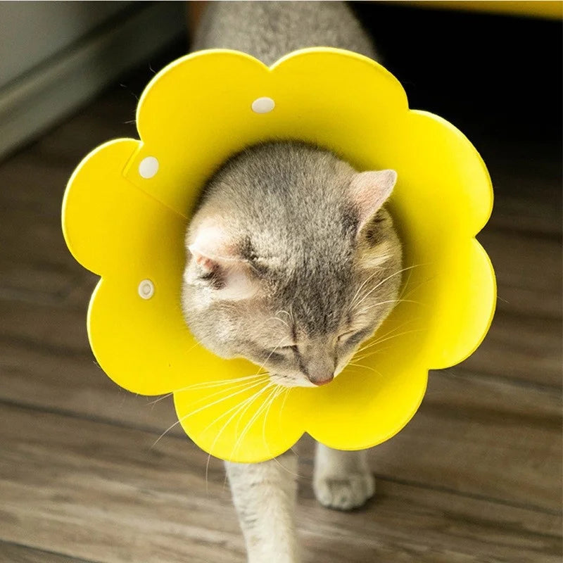 Adjustable Flower Shape Pet Recovery Collar — Protective Cone for Cats and Small Dogs