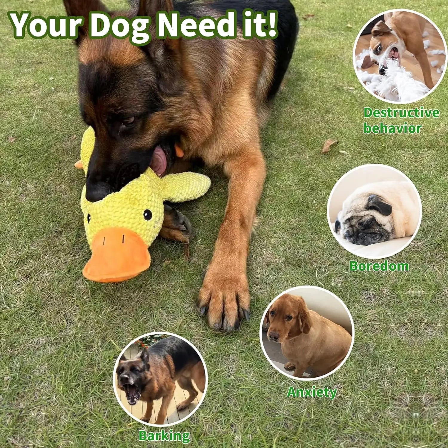 XMSJ Duck Plush Dog Toy — Durable Squeaky Chew Toy for Teeth Relief