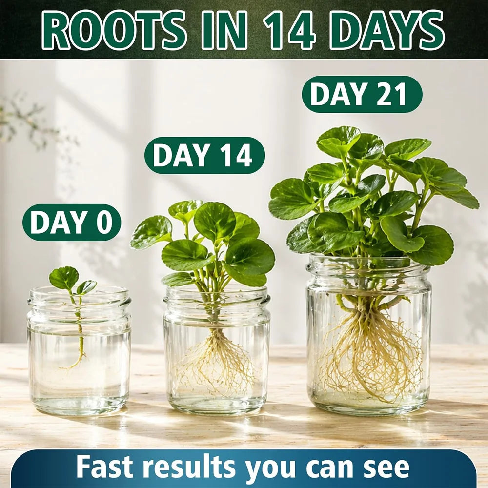 Professional Plant Resurrection Liquid — Concentrated Revitalizer for Withered Foliage