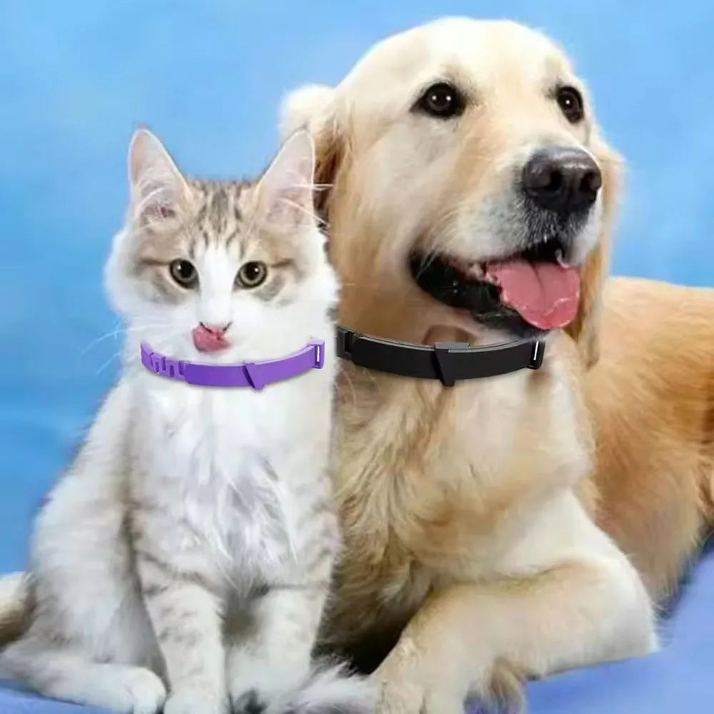 Adjustable Waterproof Pet Collar — Durable Plastic Design for Cats and Dogs