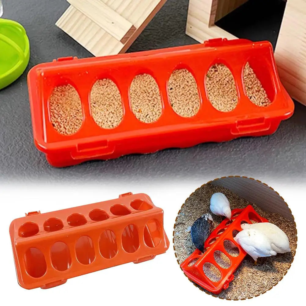 Automatic Chicken Feeder and Waterer — Large Capacity Poultry Feeding Station