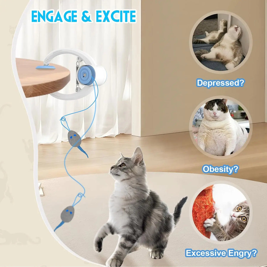 Hanging Cat Teaser Toy — Elastic Swing Disc for Active Play