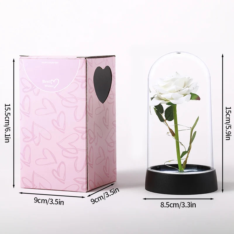 Eternal Rose in Glass Dome — LED Light Decorative Flower Gift