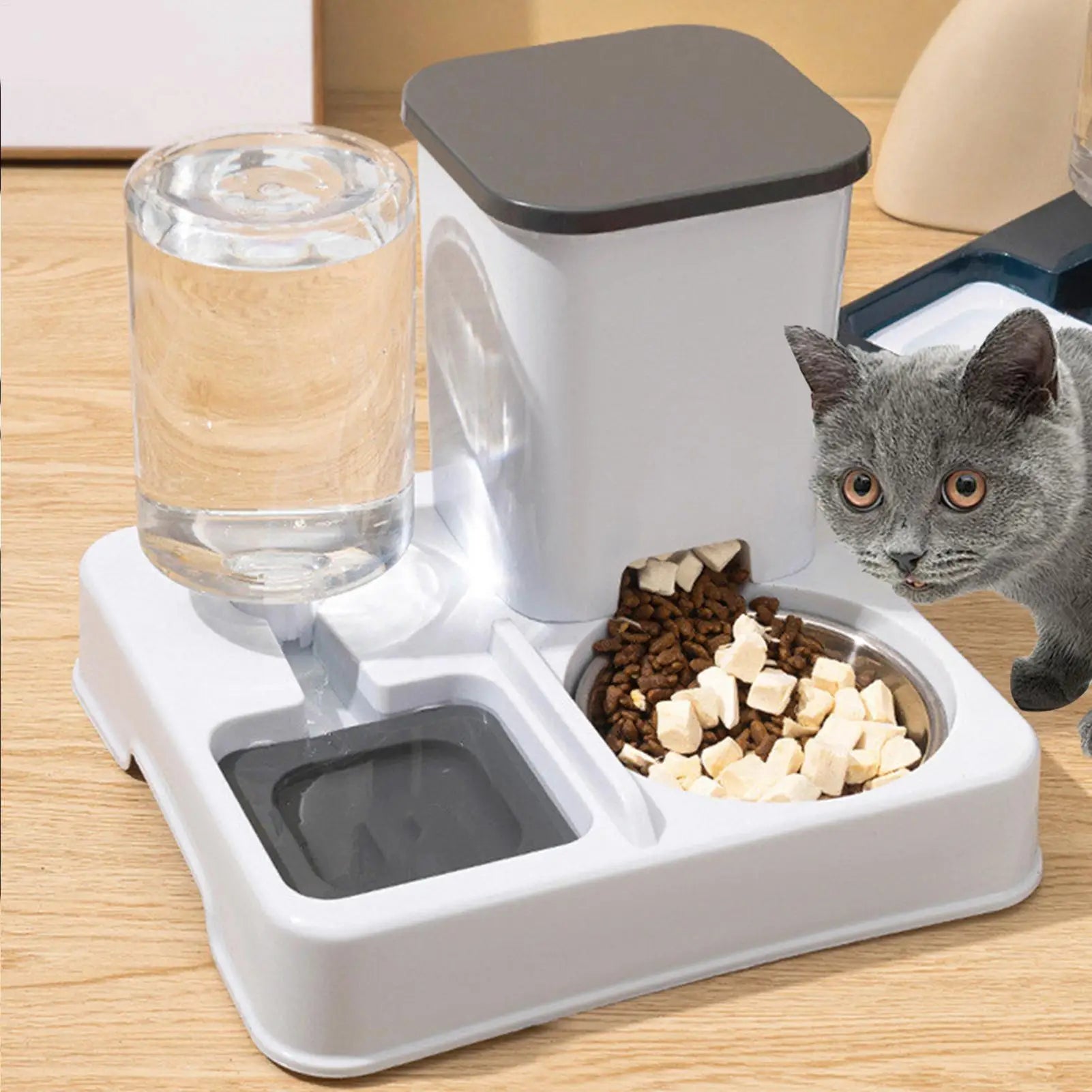 Automatic Pet Feeder and Water Dispenser — Timed Food and Hydration System