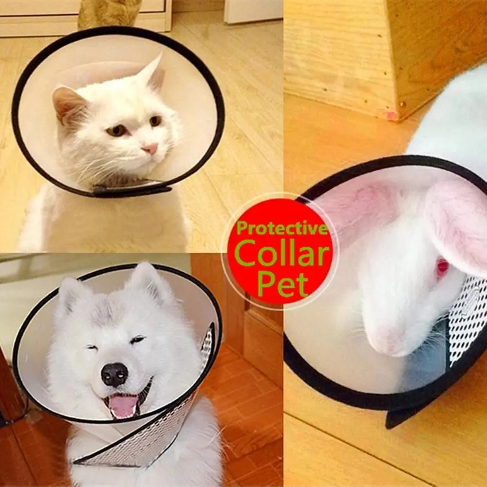 Despitego Pet Protective Recovery Collar — Soft Elizabethan Cone for Dogs and Cats