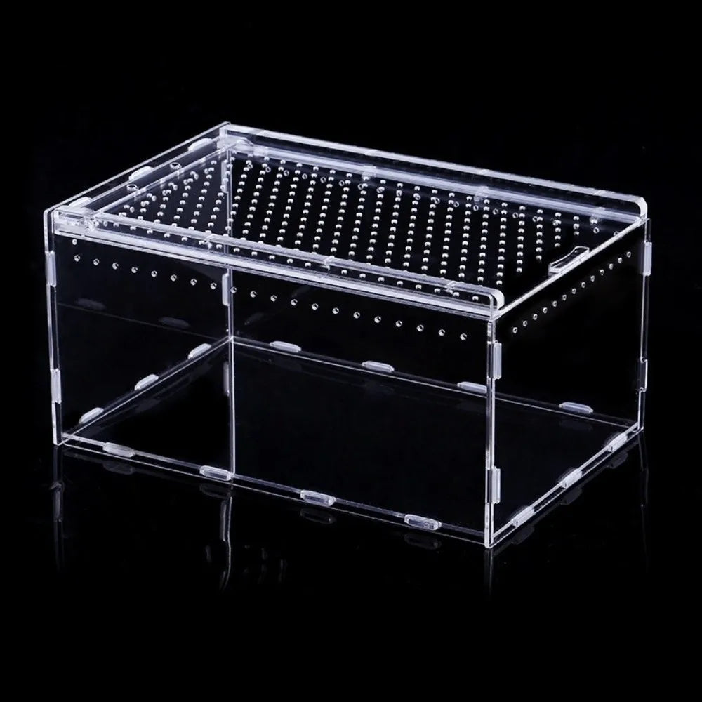 Transparent Acrylic Reptile Terrarium — Ventilated Habitat for Geckos and Snakes