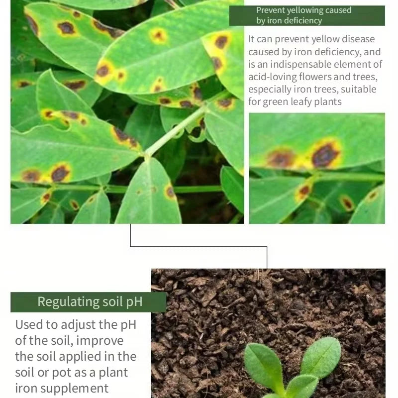 Ferrous Sulfate Flower Acid Fertilizer — Iron Supplement for Acid-Loving Plants