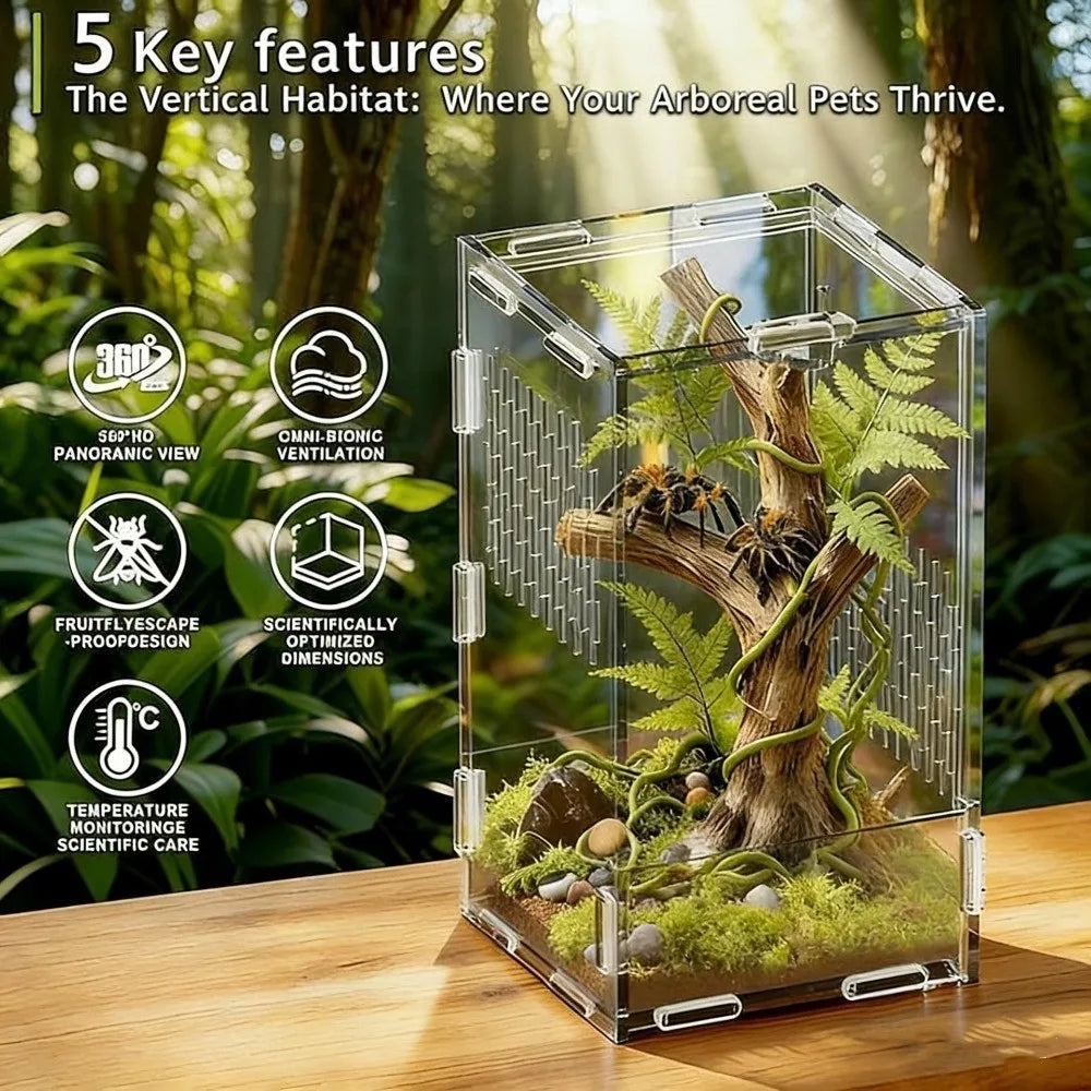 Reptile Terrarium — Transparent Habitat Cage
