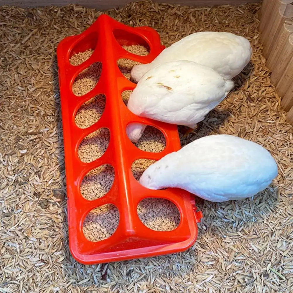 Automatic Chicken Feeder and Waterer — Large Capacity Poultry Feeding Station
