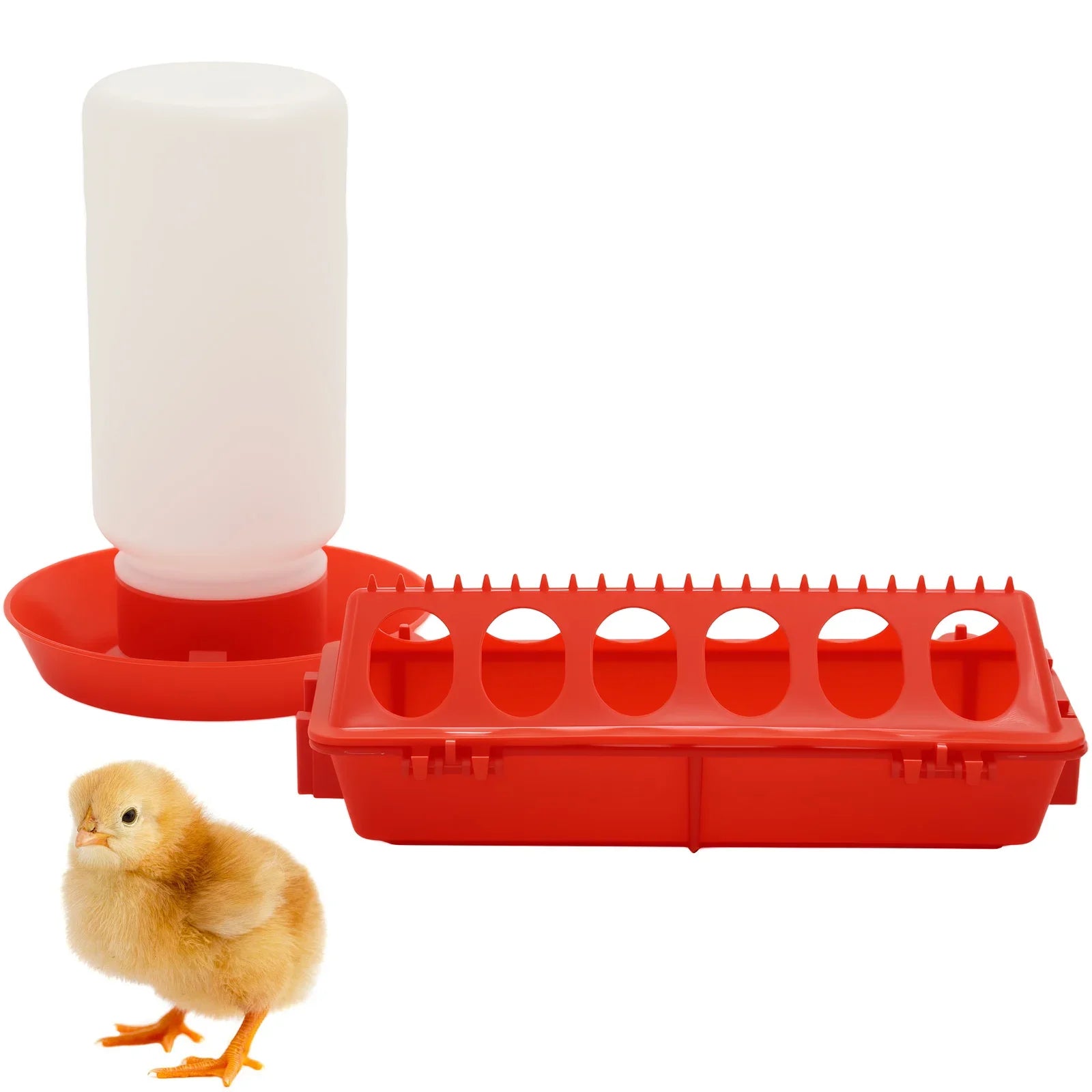 Automatic Poultry Feeder and Waterer — Large Capacity Feeding Trough