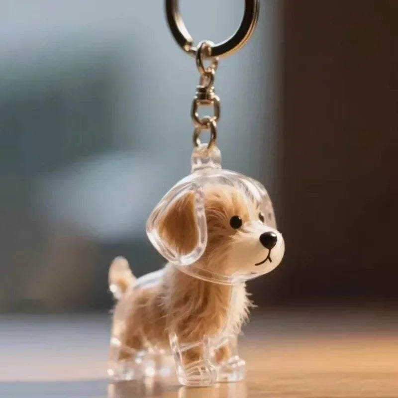 Pet Hair Memorial Keepsake Capsule — Transparent Keychain Pendant for Pet Lovers