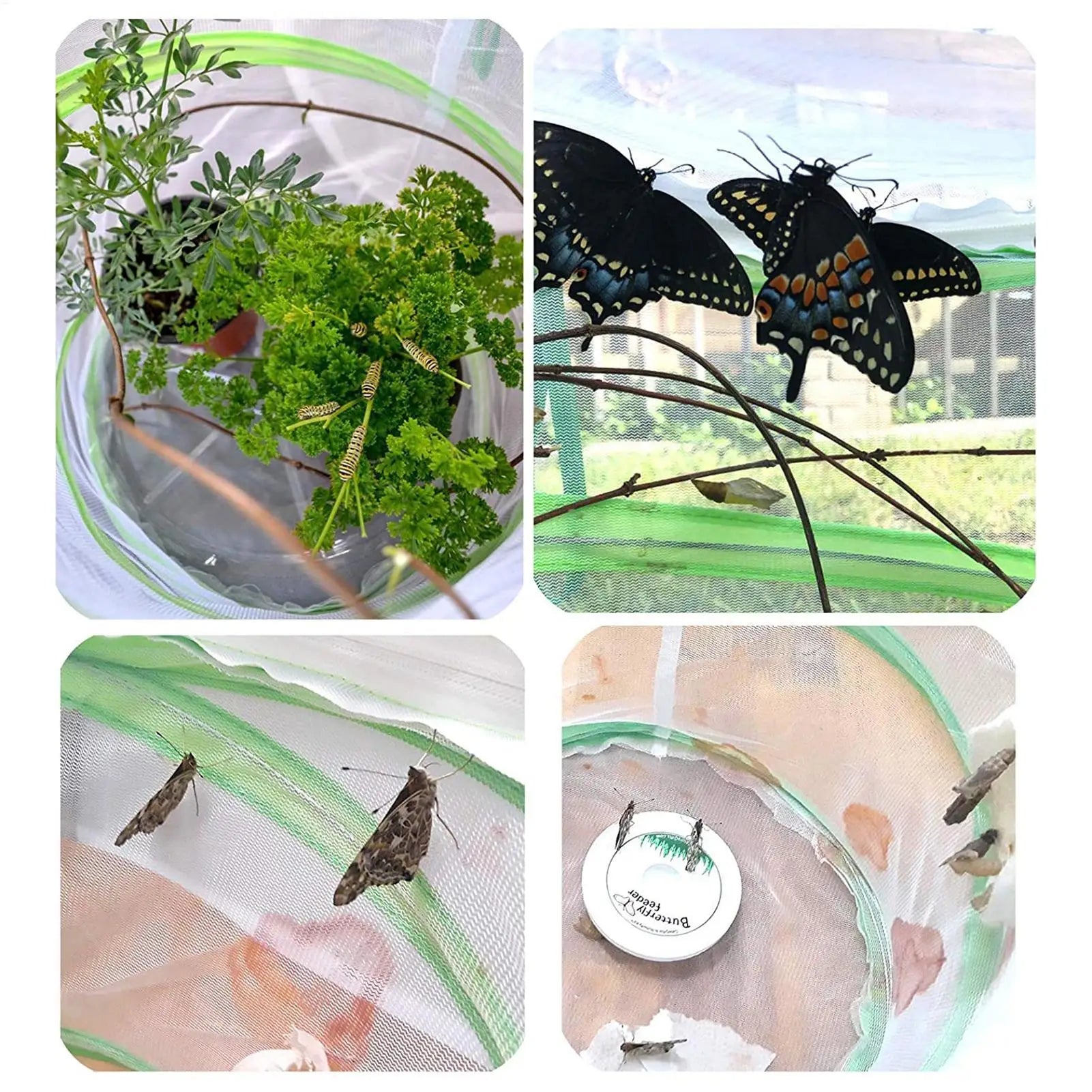Foldable Butterfly Habitat — Mesh Insect Observation Cage for Caterpillars