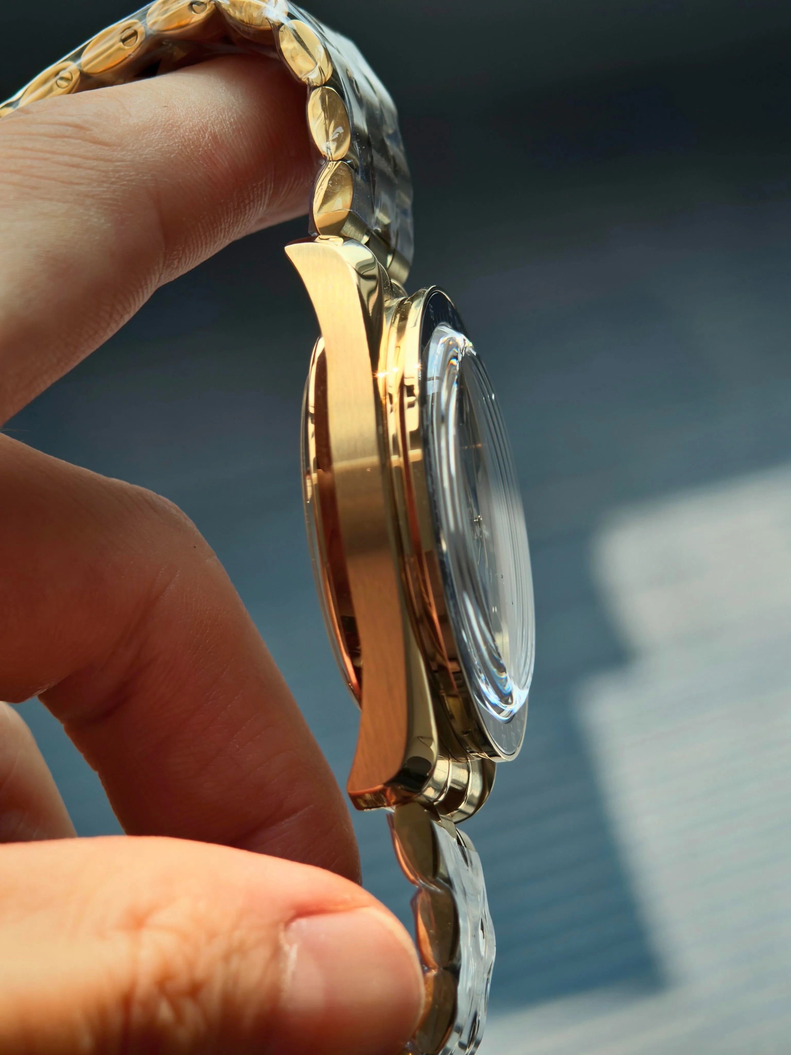 Watchdives WD1863 Chronograph Watch — Vintage Style Meca-Quartz Movement