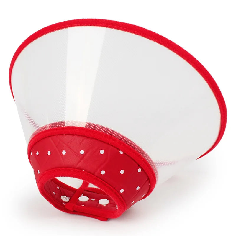 Pet Recovery Elizabethan Collar — Soft Padded Cone for Wound Healing