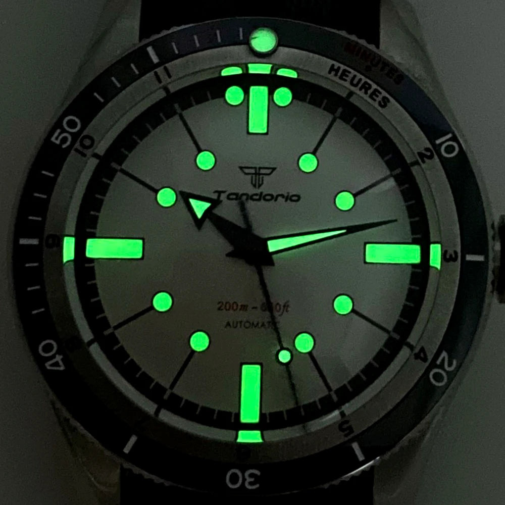 Tandorio Automatic Dive Watch — 40mm Mechanical Men's Diver