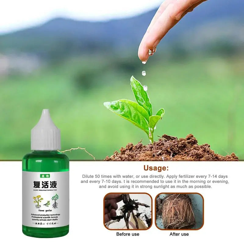 Plant Revitalizer Nutrient Solution — Organic Liquid Fertilizer for Healthy Growth