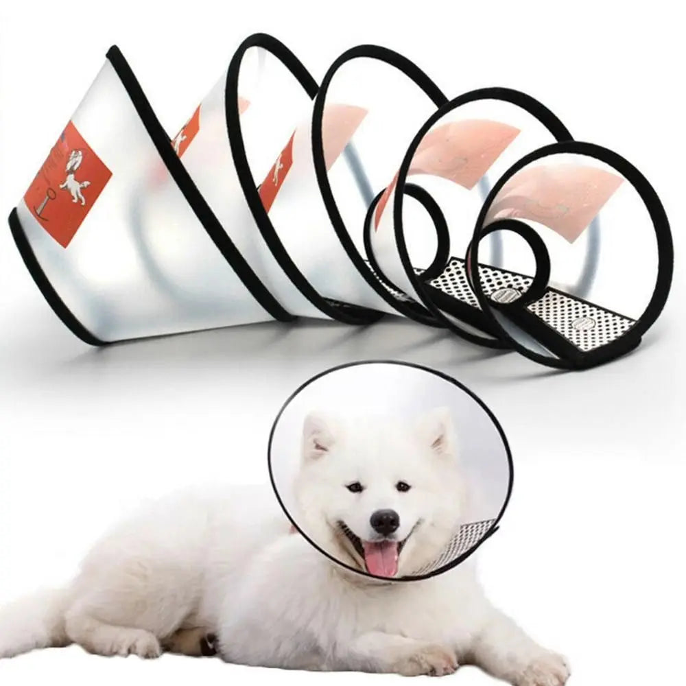 Pet Protective Recovery Collar — Anti-Bite and Wound Healing Cone
