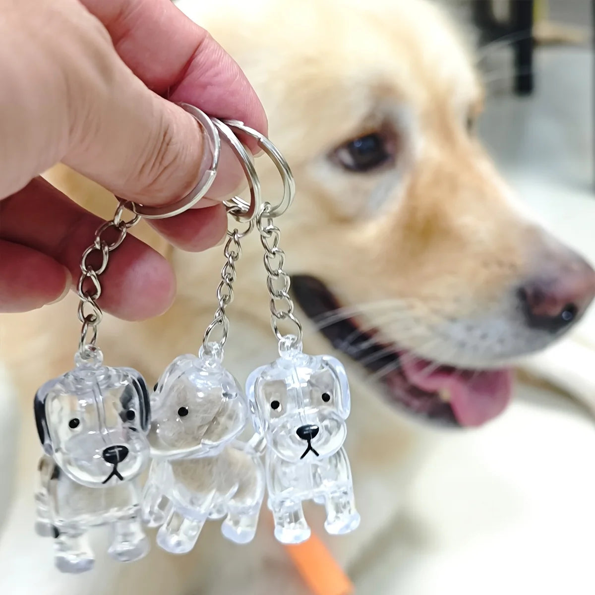 Pet Hair Memorial Keepsake Capsule — Transparent Keychain Pendant for Pet Lovers