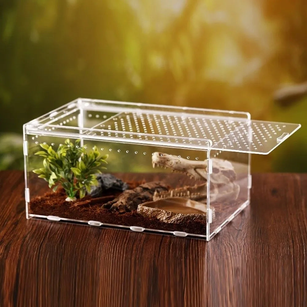 Transparent Acrylic Reptile Terrarium — Ventilated Habitat for Geckos and Snakes