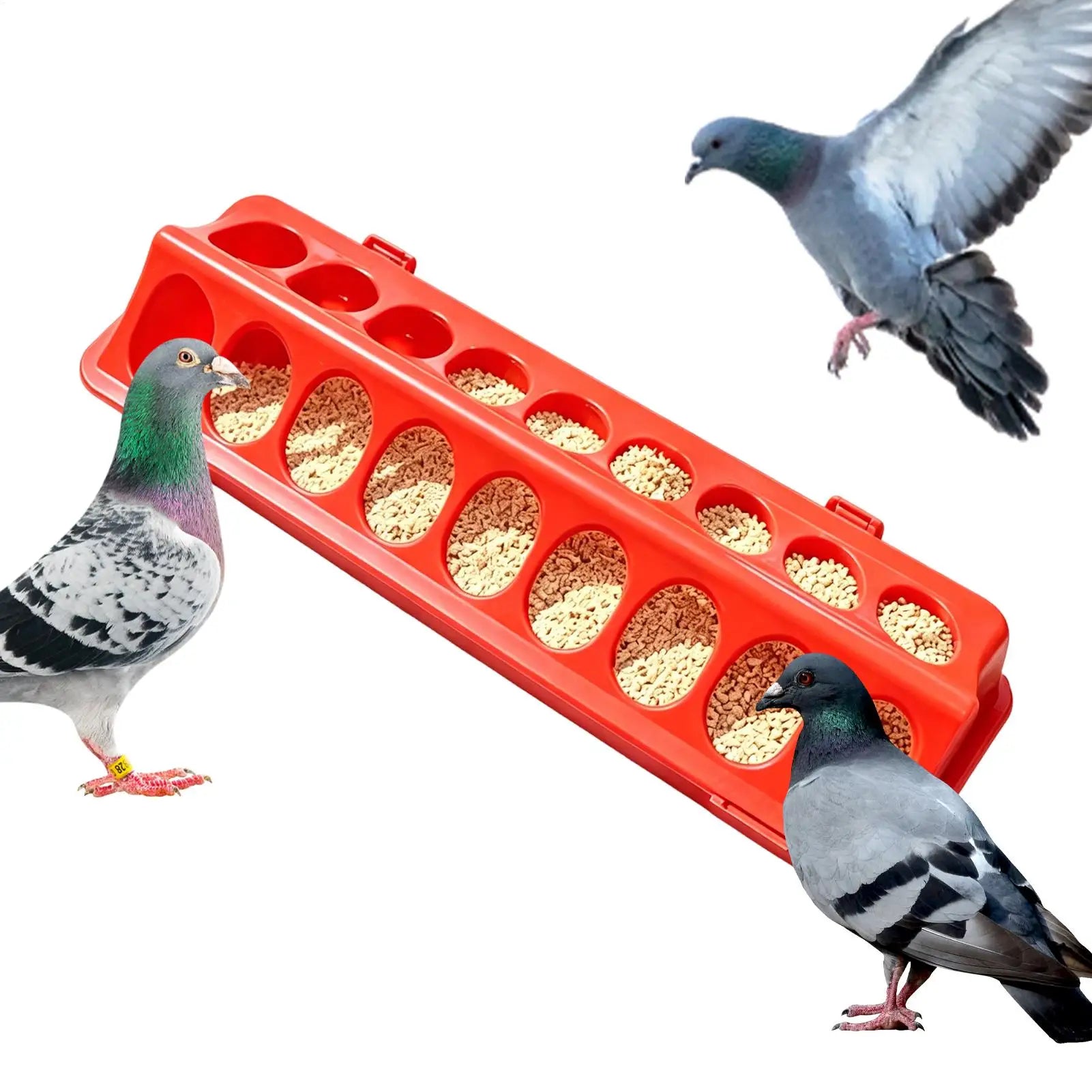 Multi-Bird Feeding Trough — Weather-Resistant Anti-Leak Poultry Station
