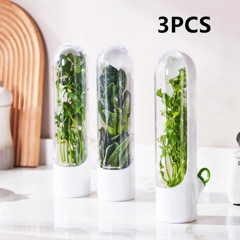 Fresh Herb Storage Container — Airtight Vegetable Preservation Bottle