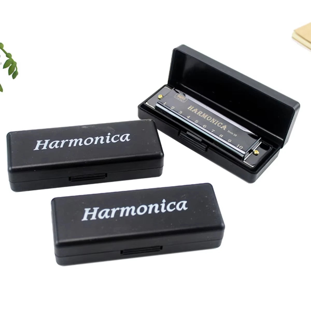 Professional 10-Hole Harmonica — Musical Instrument for Beginners