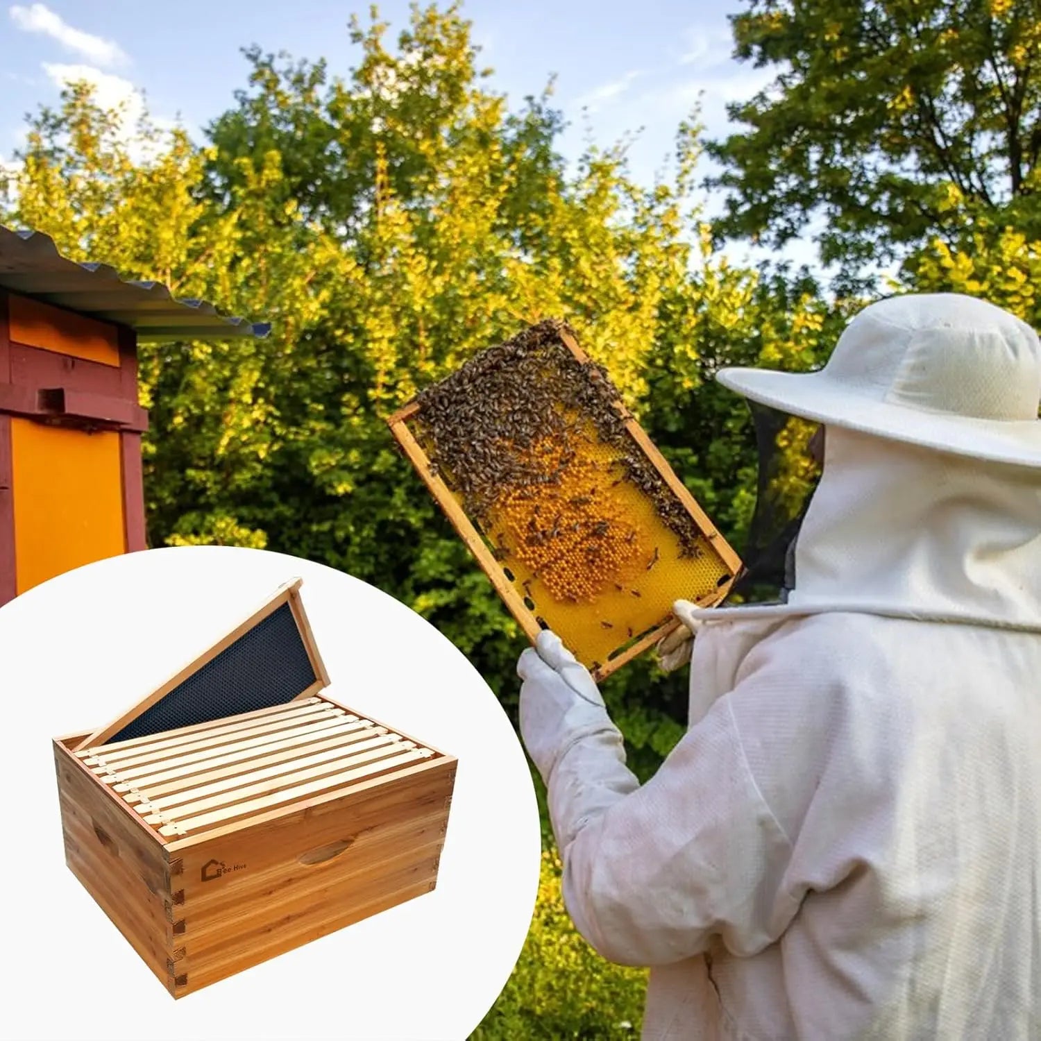 TWISTER.CK 10-Frame Deep Beehive Box — Beeswax Coated Cedarwood Hive